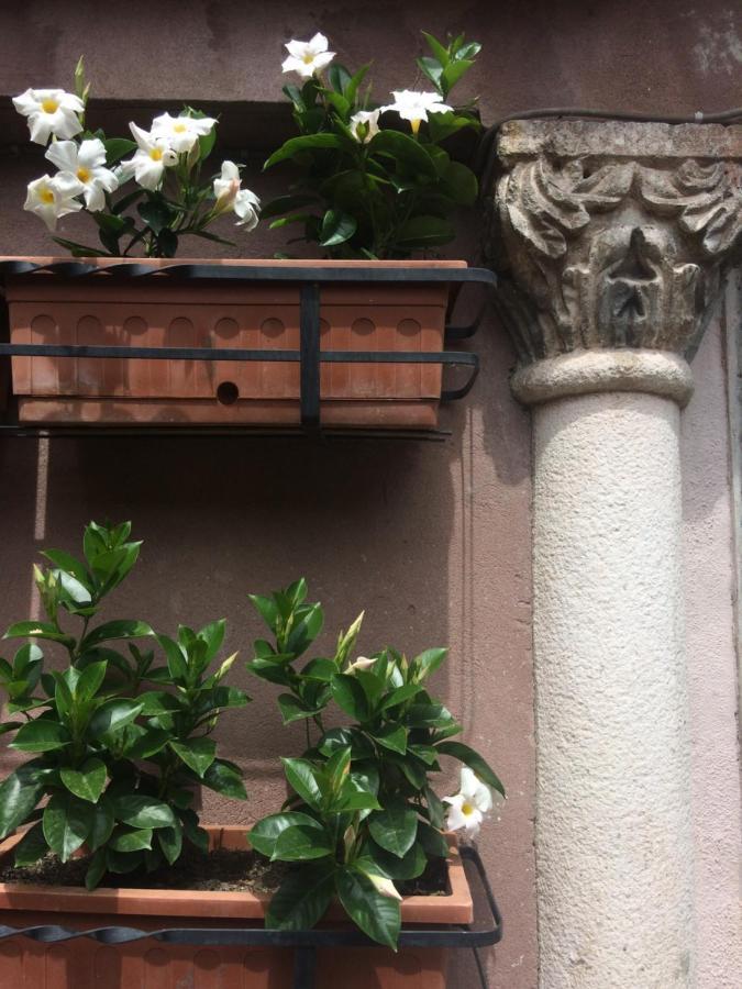 Maison Marea Venice