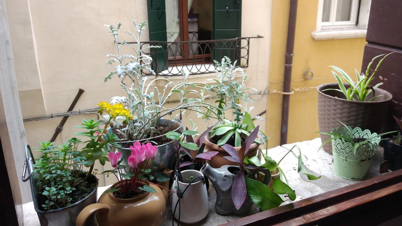 Albergue The Academy Veneza