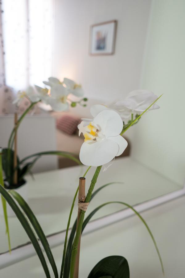 Guest house Backpackers House Venice