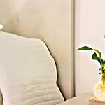 Suite Ca’ Della Tana