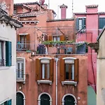 Lionhost Ruga Giuffa 4834