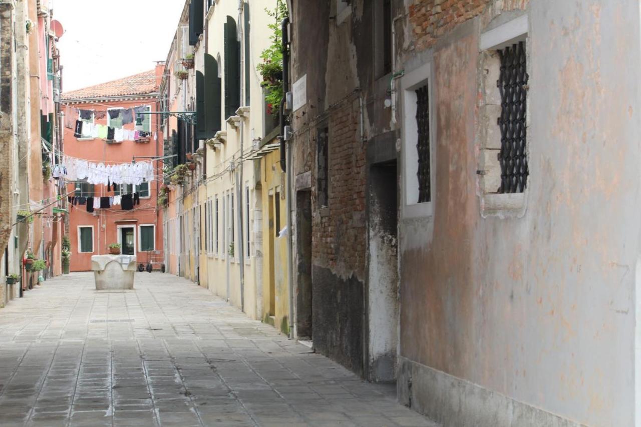 Veneziacentopercento & *