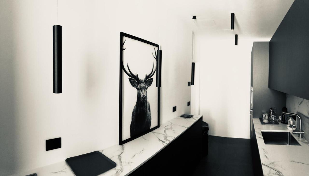 Apartment Falier- Luminosa
