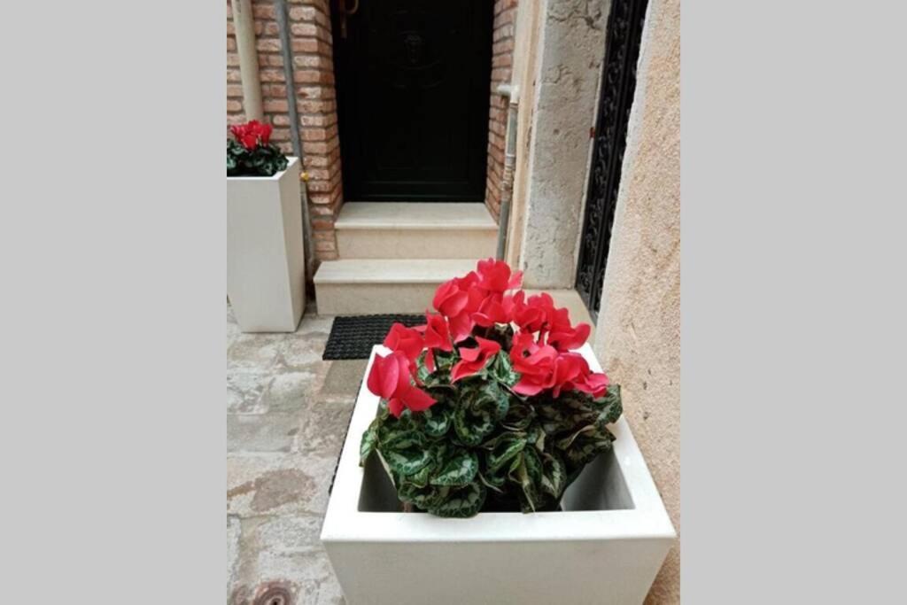 Ca Cici Loft Venice