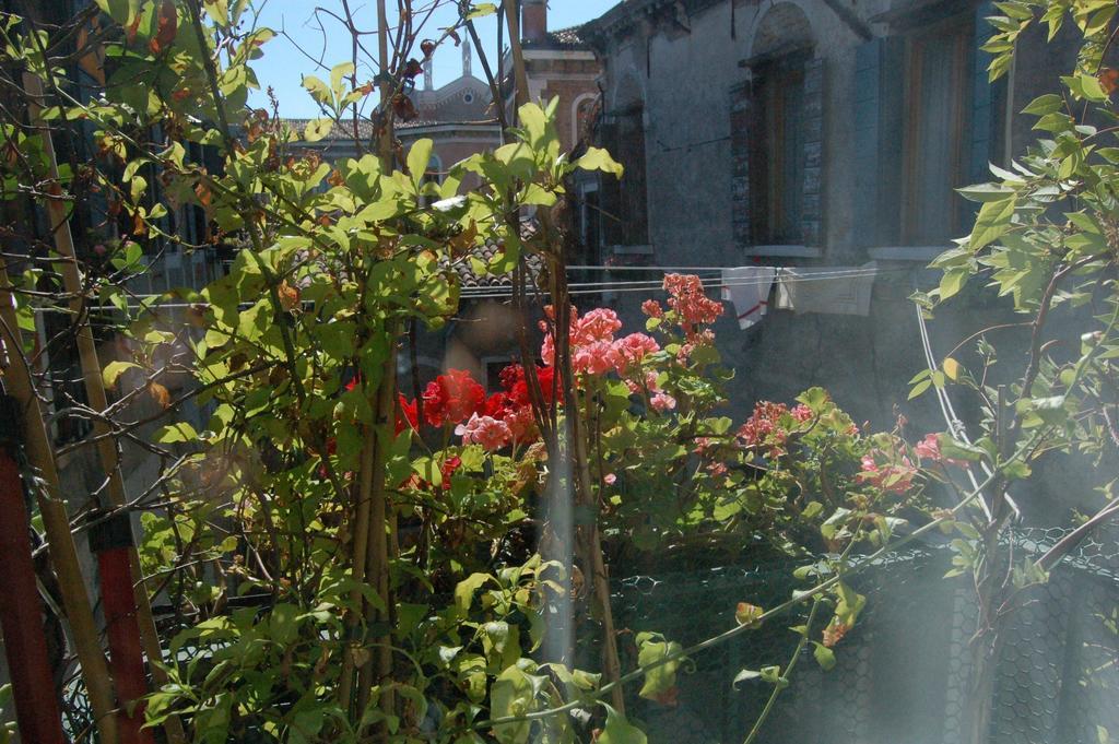Ca' Riccio 2* Venice