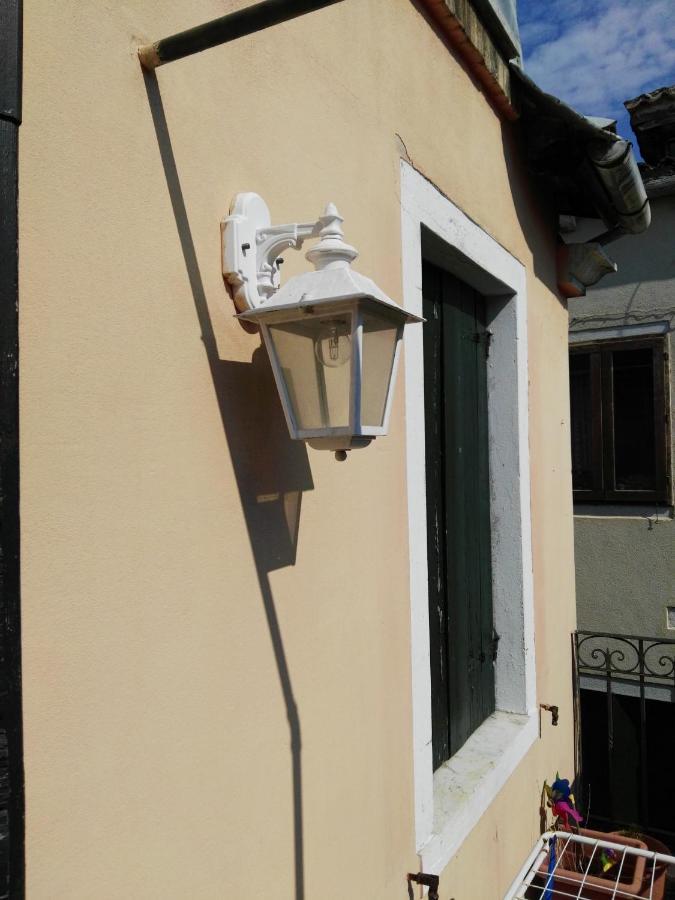 Butterfly * Venice