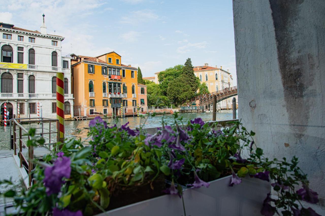 Luxury On The Gran Canal With Wonderful View Veneza