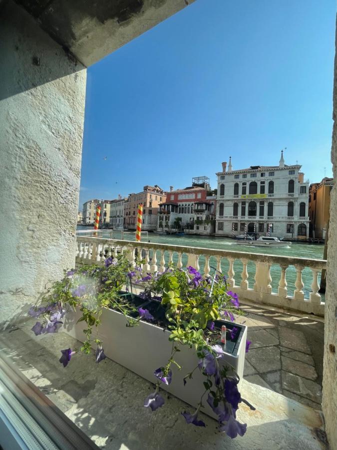 Luxury On The Gran Canal With Wonderful View Apartamento *