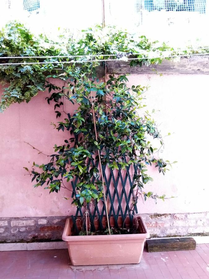 Biennale Flat * Venice