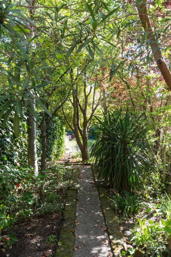 Secret Garden *