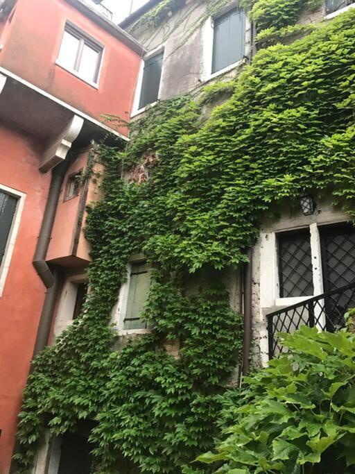 Apartment Centralissimo Tra San Marco E Palazzo Grassi Venice