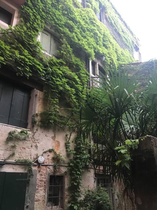 Centralissimo Tra San Marco E Palazzo Grassi Apartment *