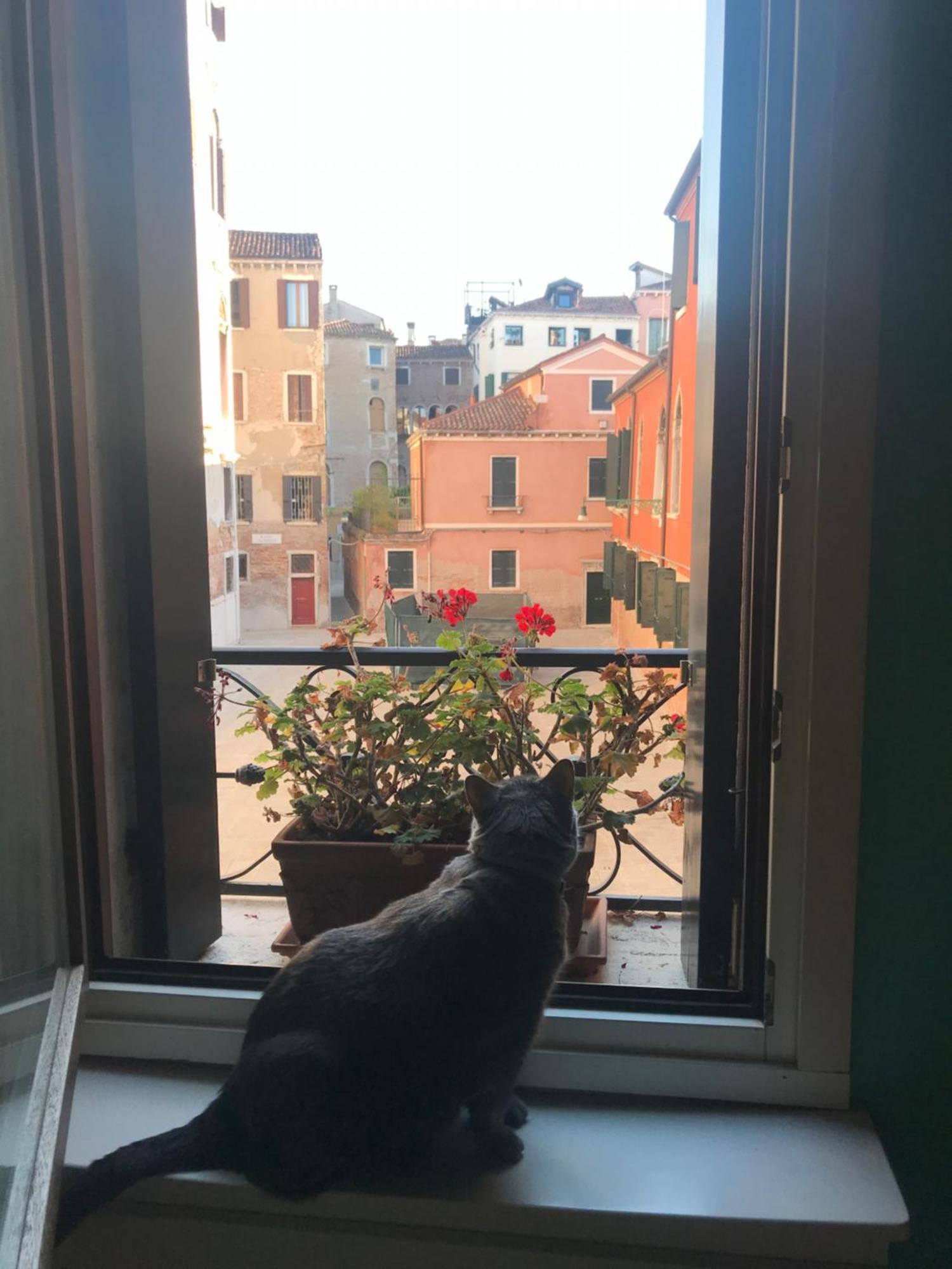 Albrizzi Charme Appartamento