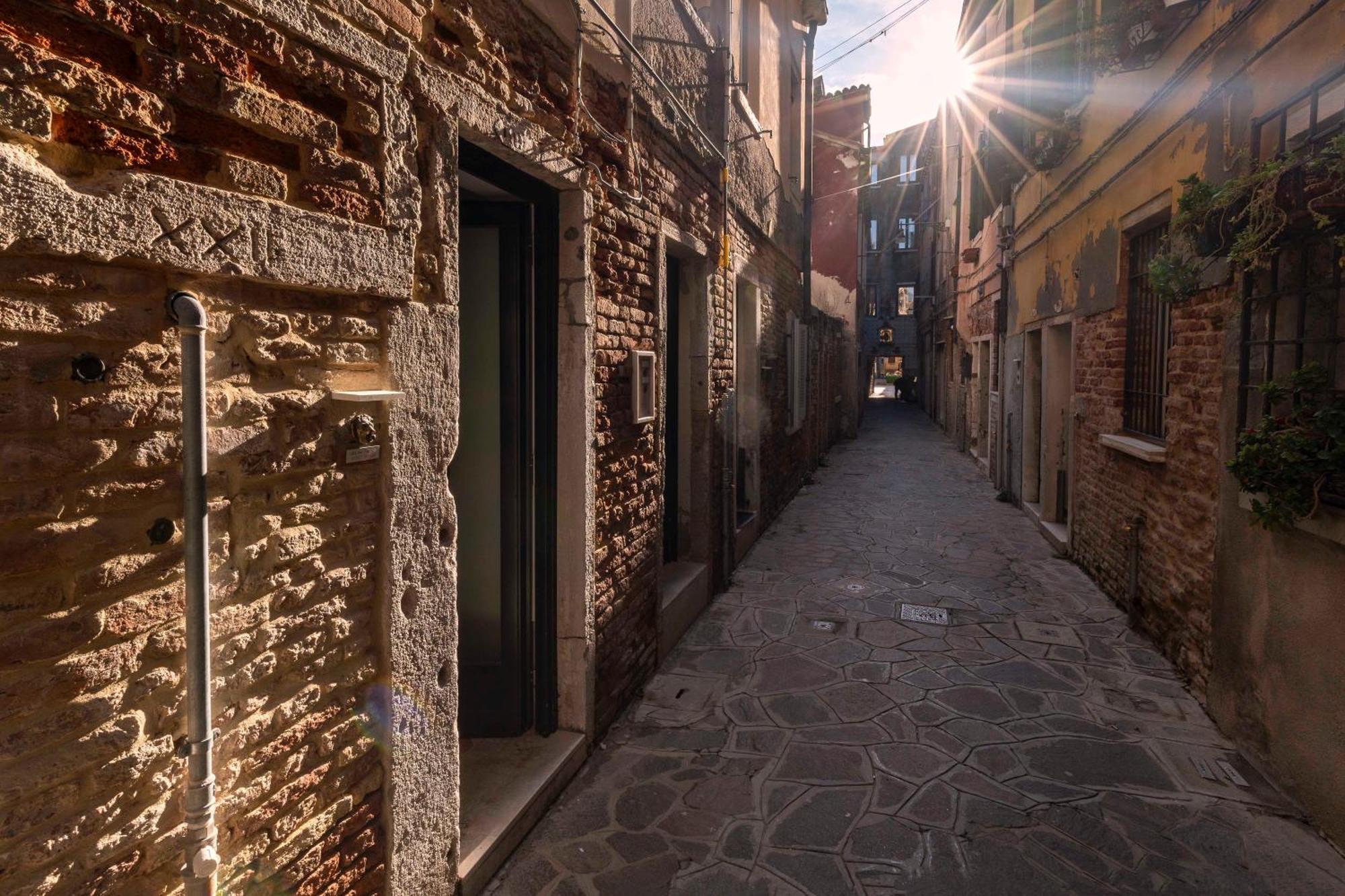 Fenix Colombina In Biennale - Your Little House
