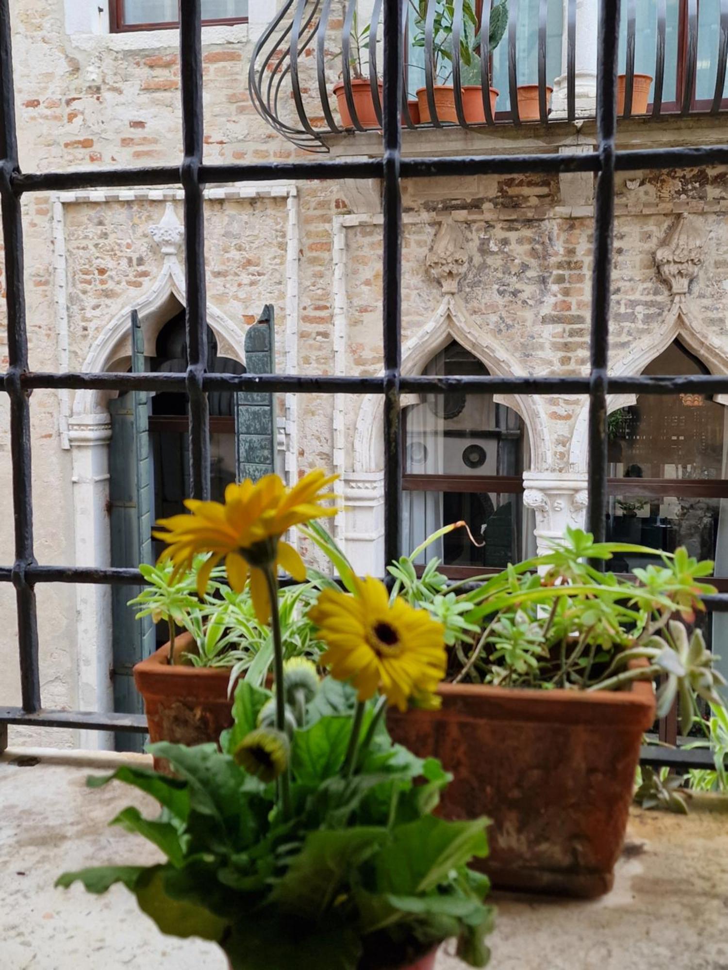 Ca Barbaro With Altana-appartamenti Storici- Venice