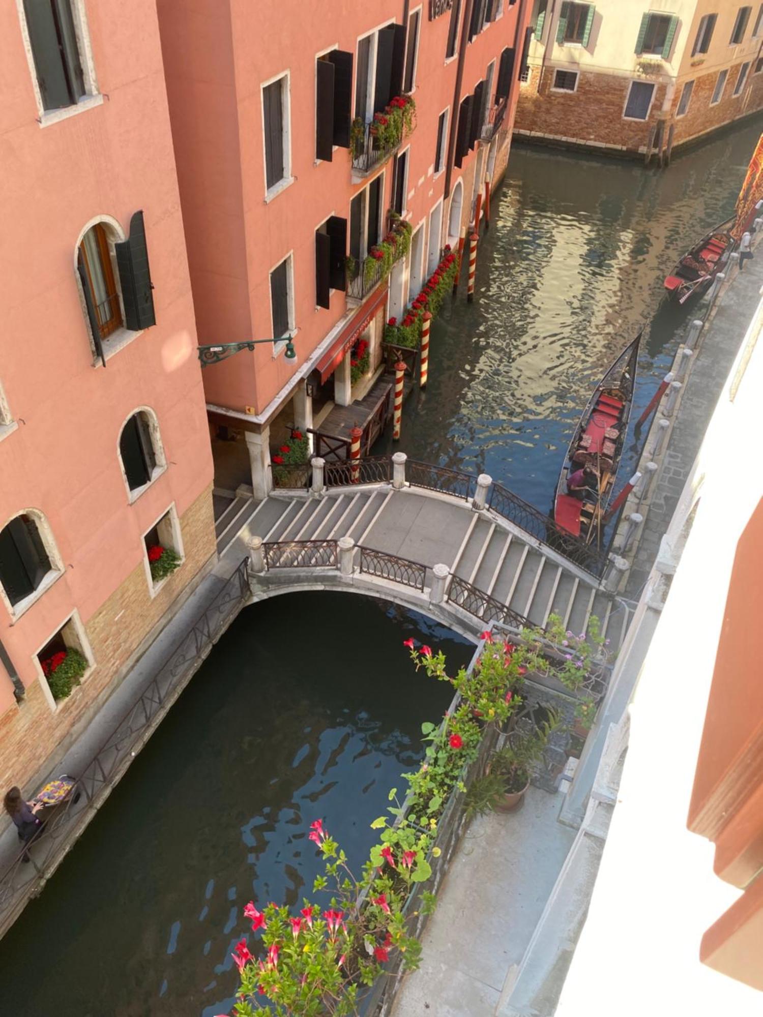 Ross' House 1 Venice