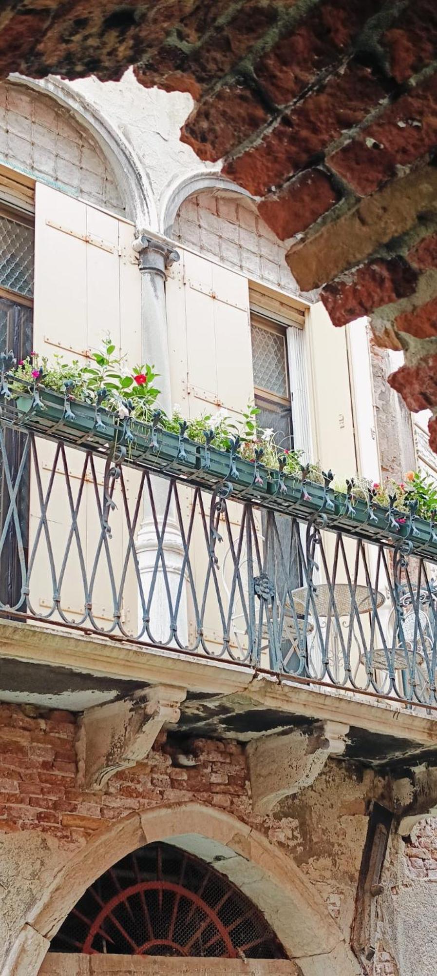 Affittacamere My Rialto Palace *
