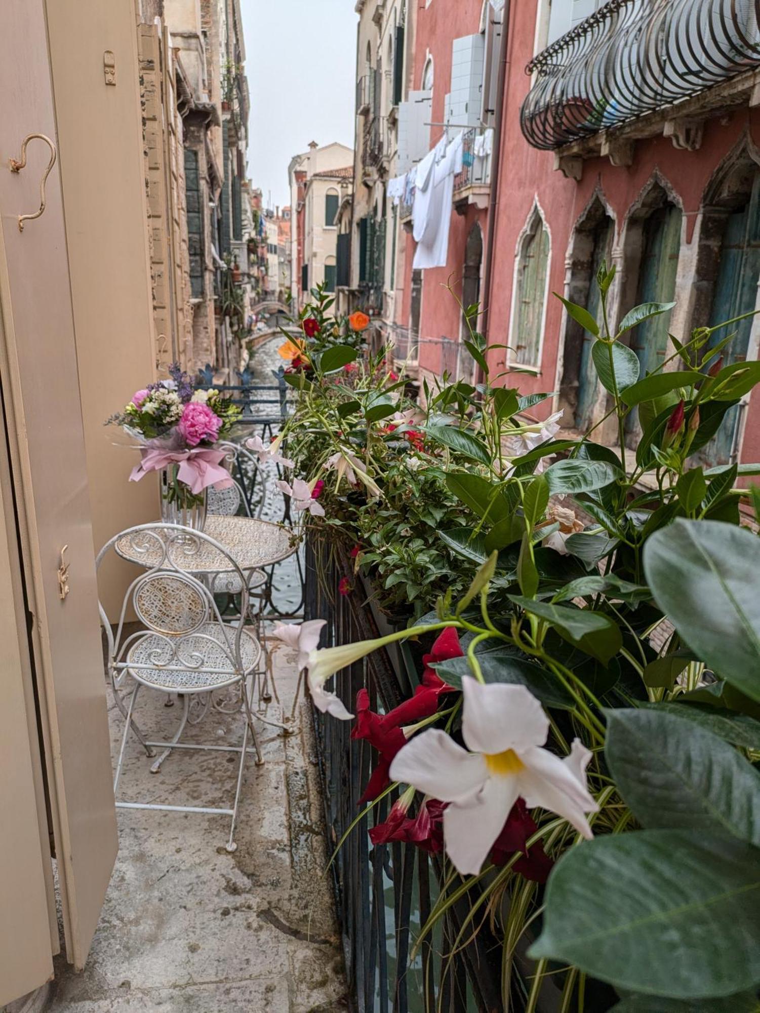 Affittacamere My Rialto Palace Venezia