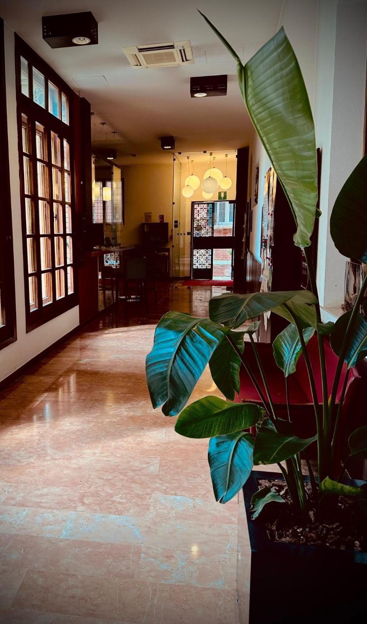Domus Ciliota 3* Venice