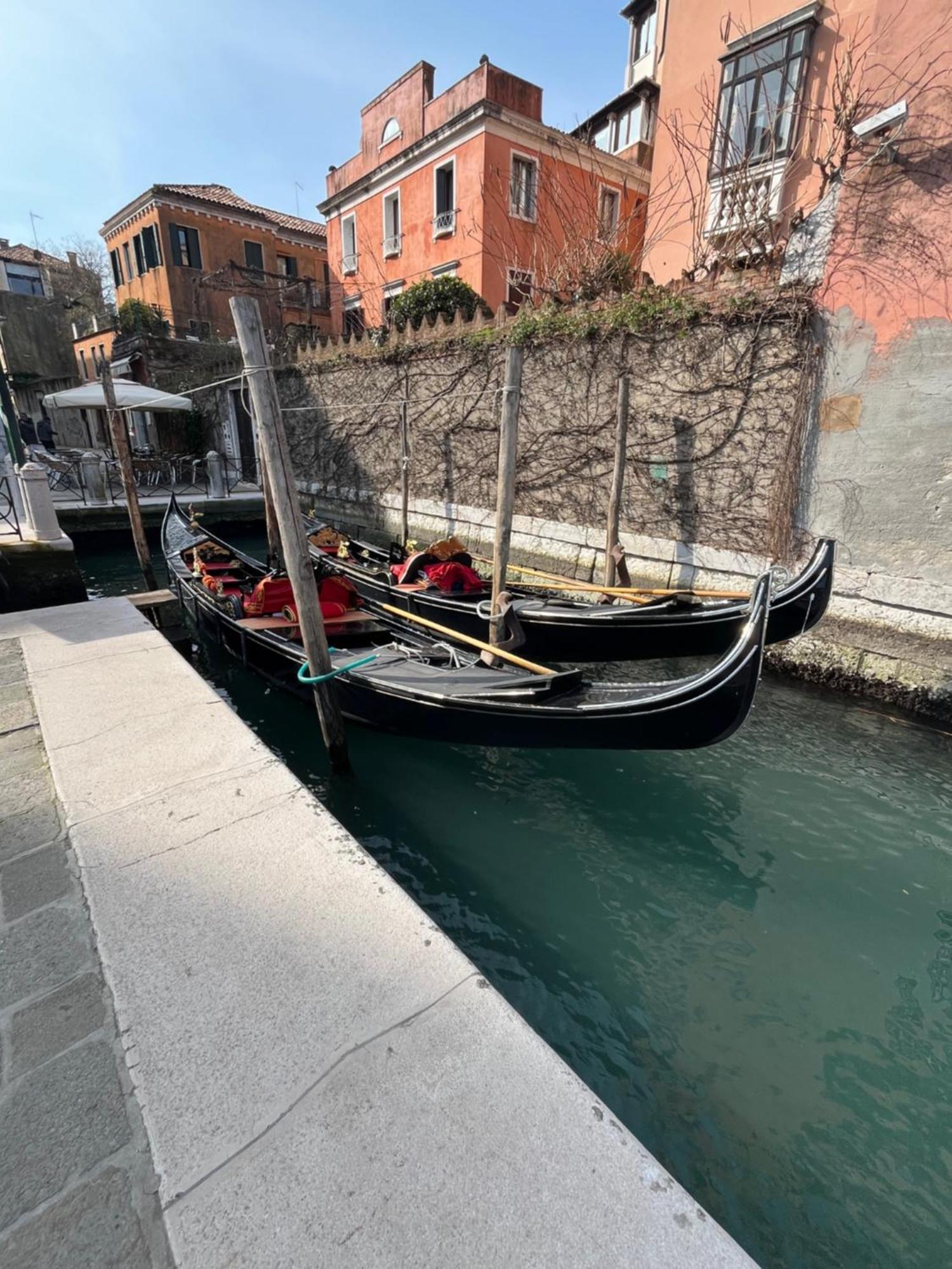 Peggy * Venice