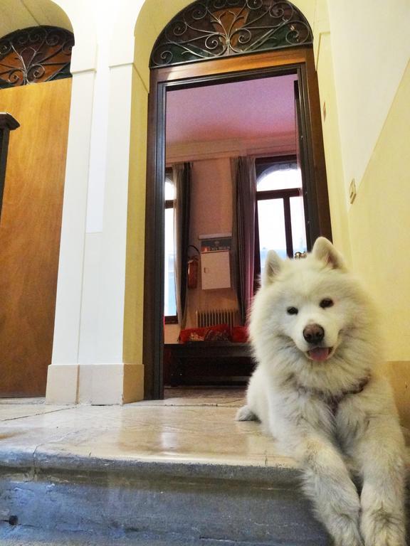 Hostel Youth Palace