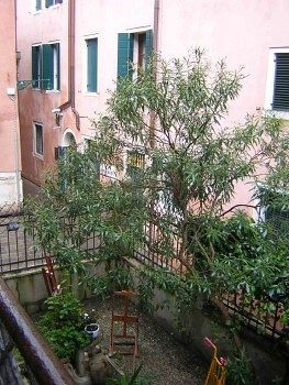 Fenice Apartamento