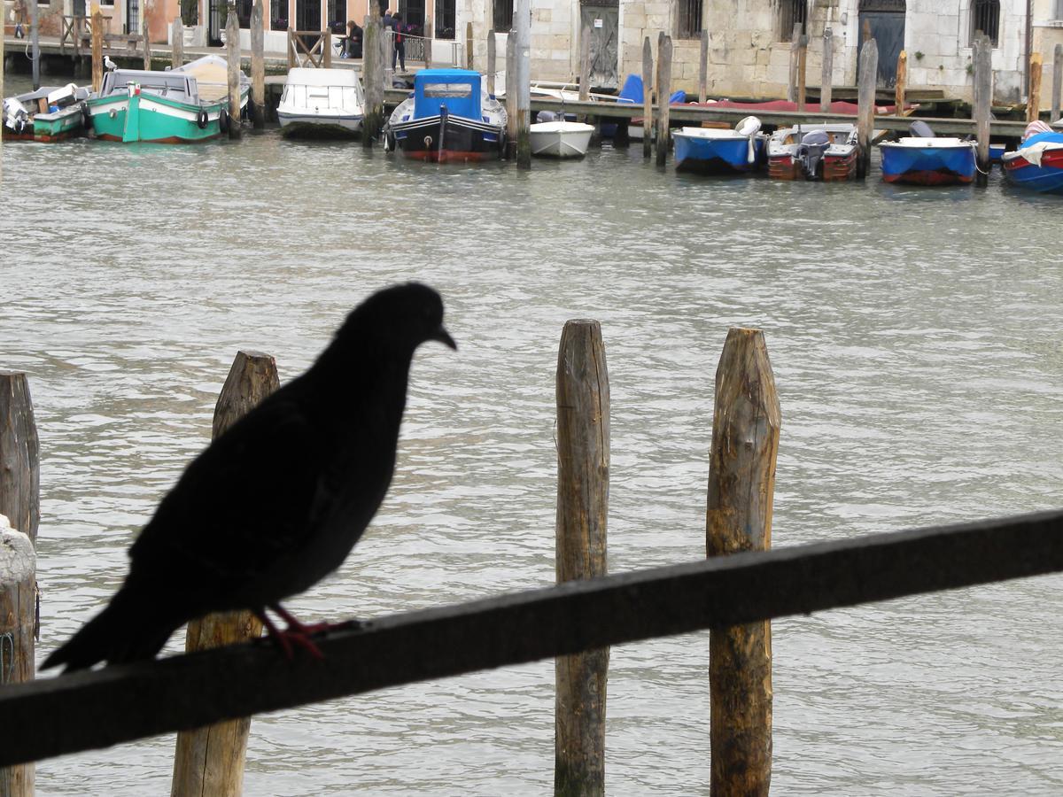 La Felice Canal Grande * Venice