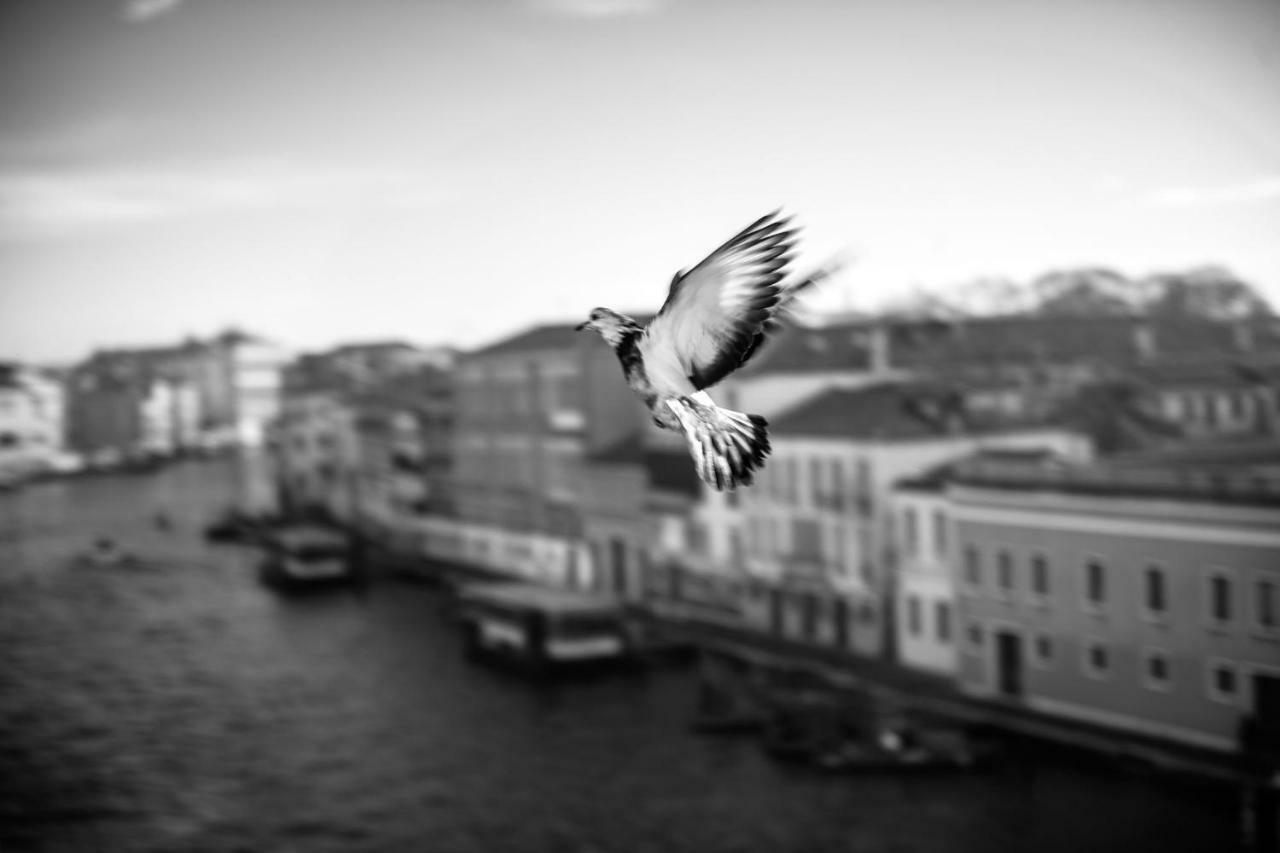Ca' Bonfadini Historic Experience Veneza
