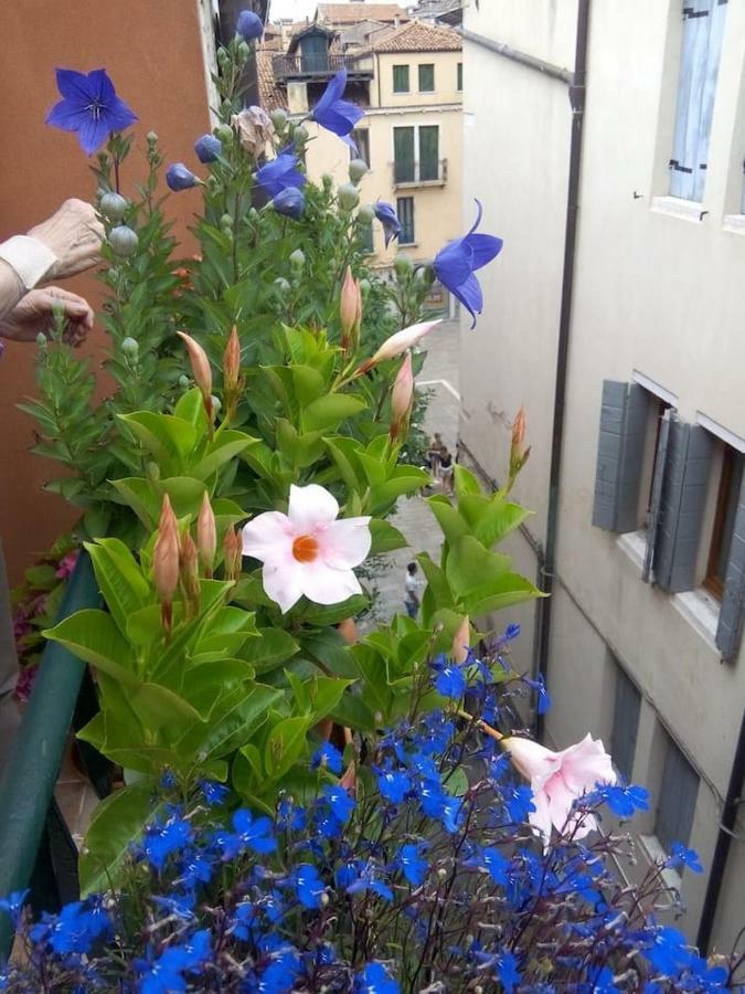 Ca' San Silvestro 2 Terrazze Nel Cuore Di Apartment *