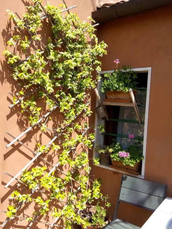 Ca' San Silvestro 2 Terrazze Nel Cuore Di Apartment *