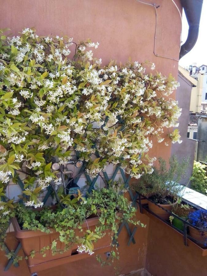 Ca' San Silvestro 2 Terrazze Nel Cuore Di Apartment