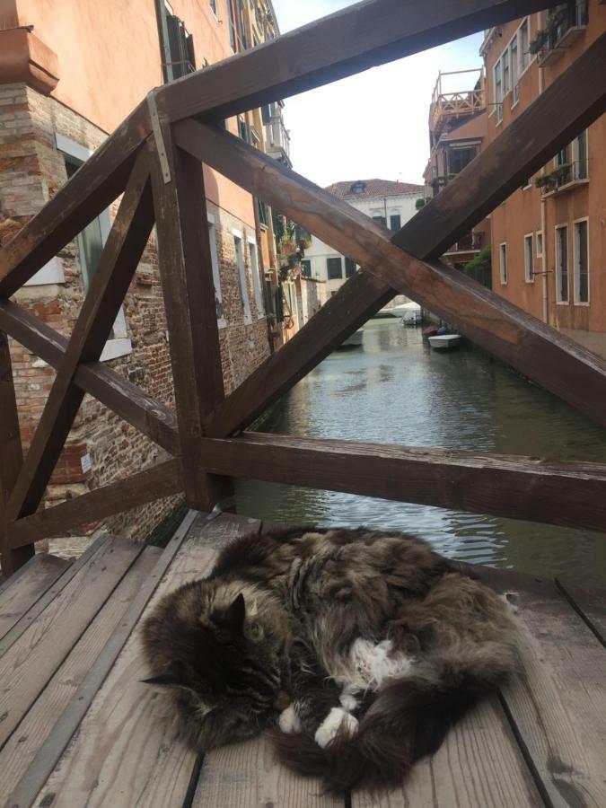 Tintoretto 1 Con Terrazza Sopra Il Tetto, 3 Bagni, 3 Grandi Da Letto, Super Nuovo Venice