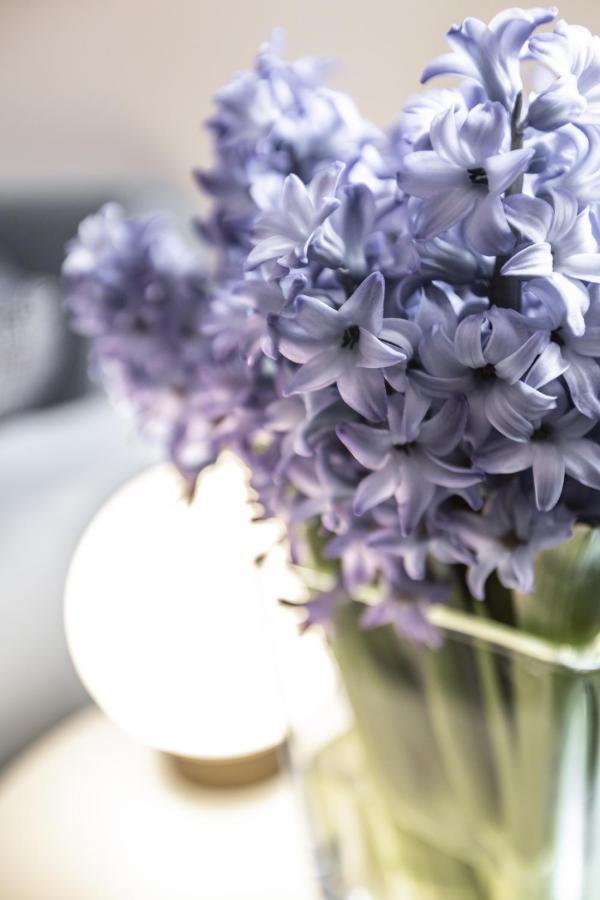Charming On The Grand Canal R&r Apartamento *