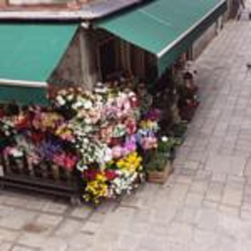 Angolo Fiorito Veneza