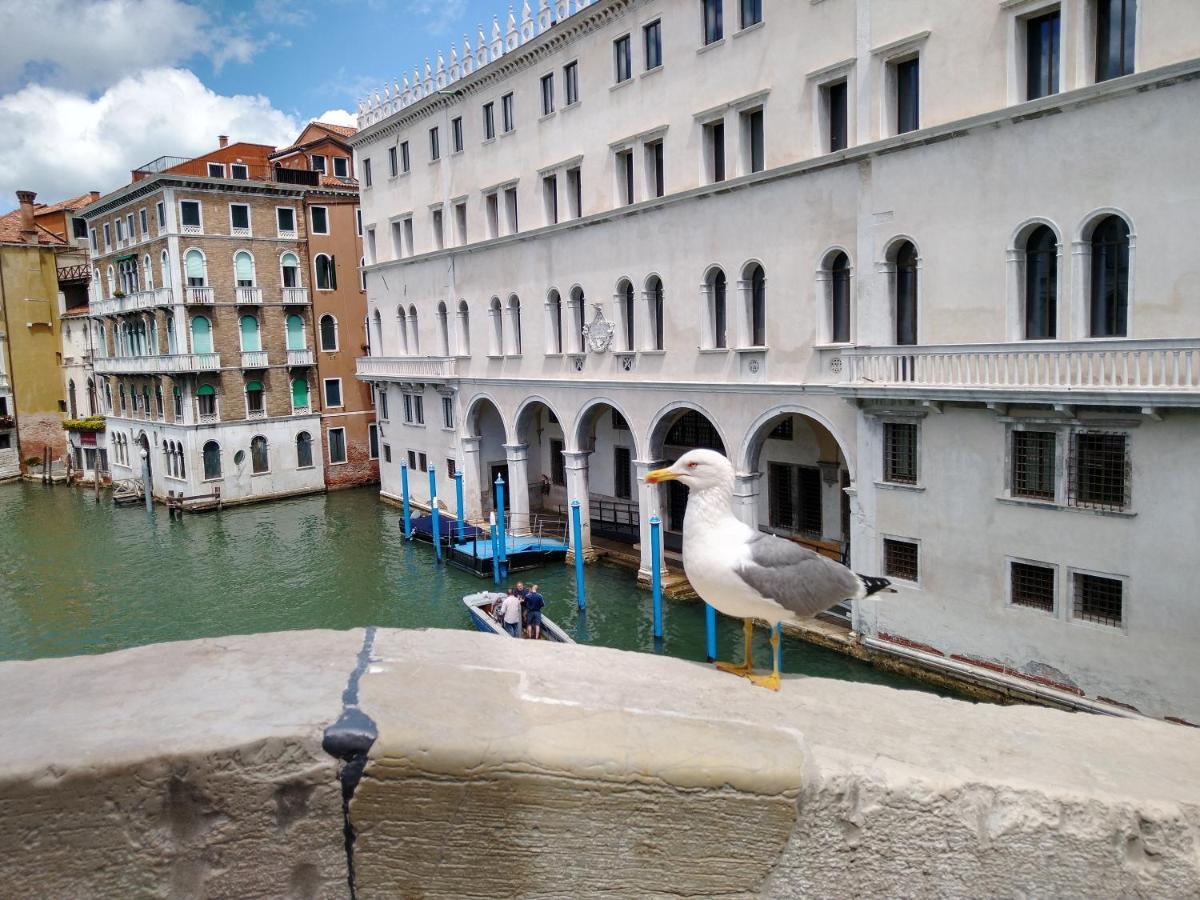 Island Apartment Venice