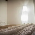 Accademia Charm Apartments By Wonderful Italy