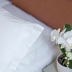 Ca\' La Stampa