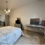 Veneziano 685