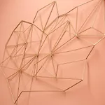 Ca Biennale, Scoprire La Venezia Nascosta!