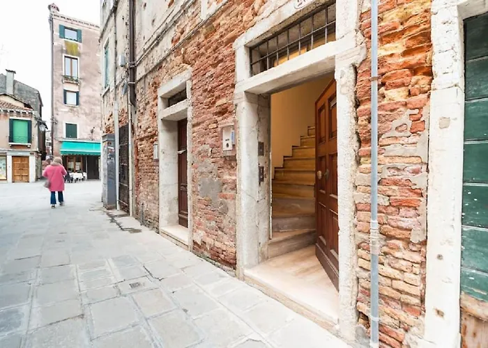 New Beautiful Suit Near Biennale