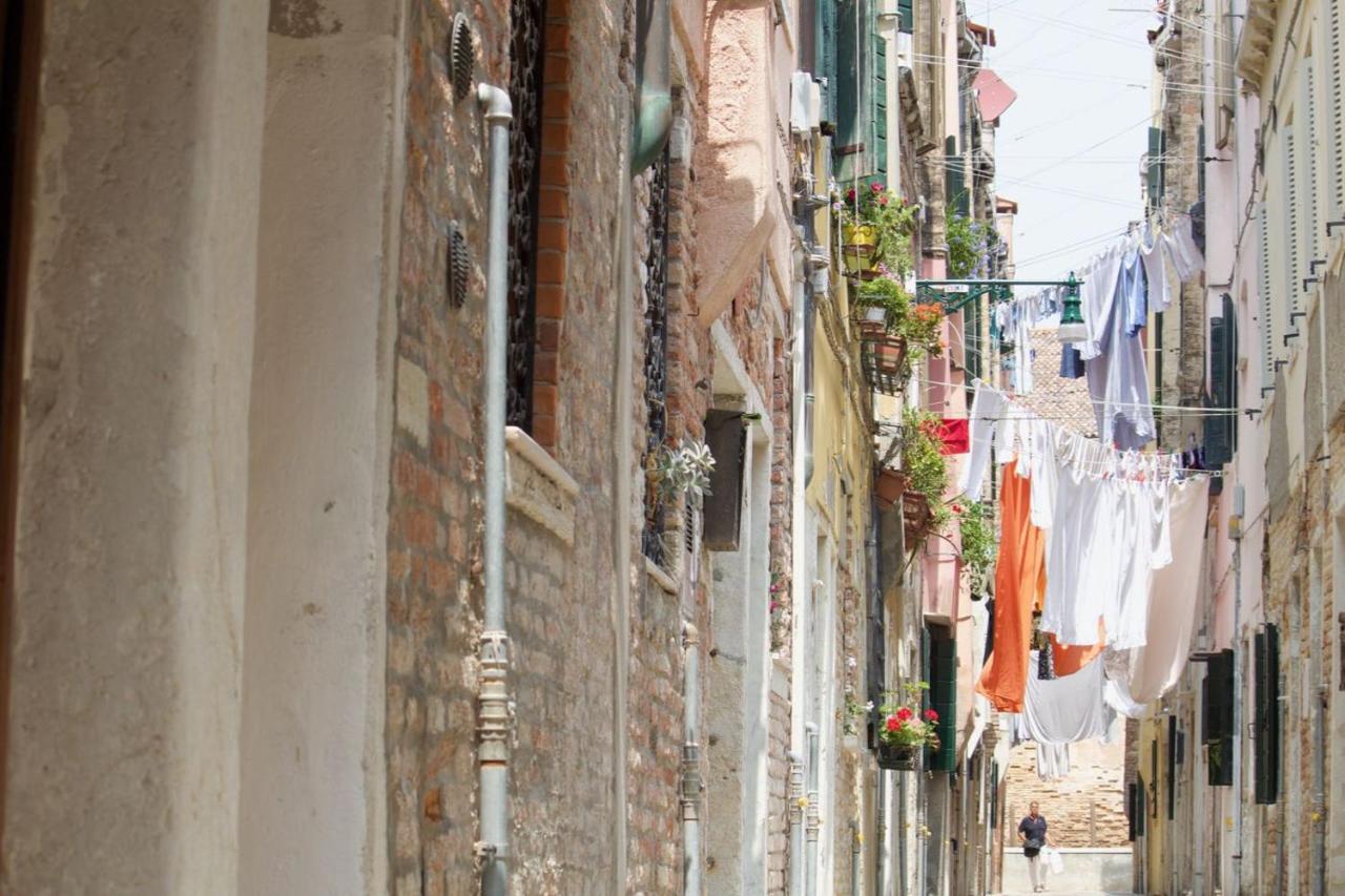 Veneziacentopercento Picenin *