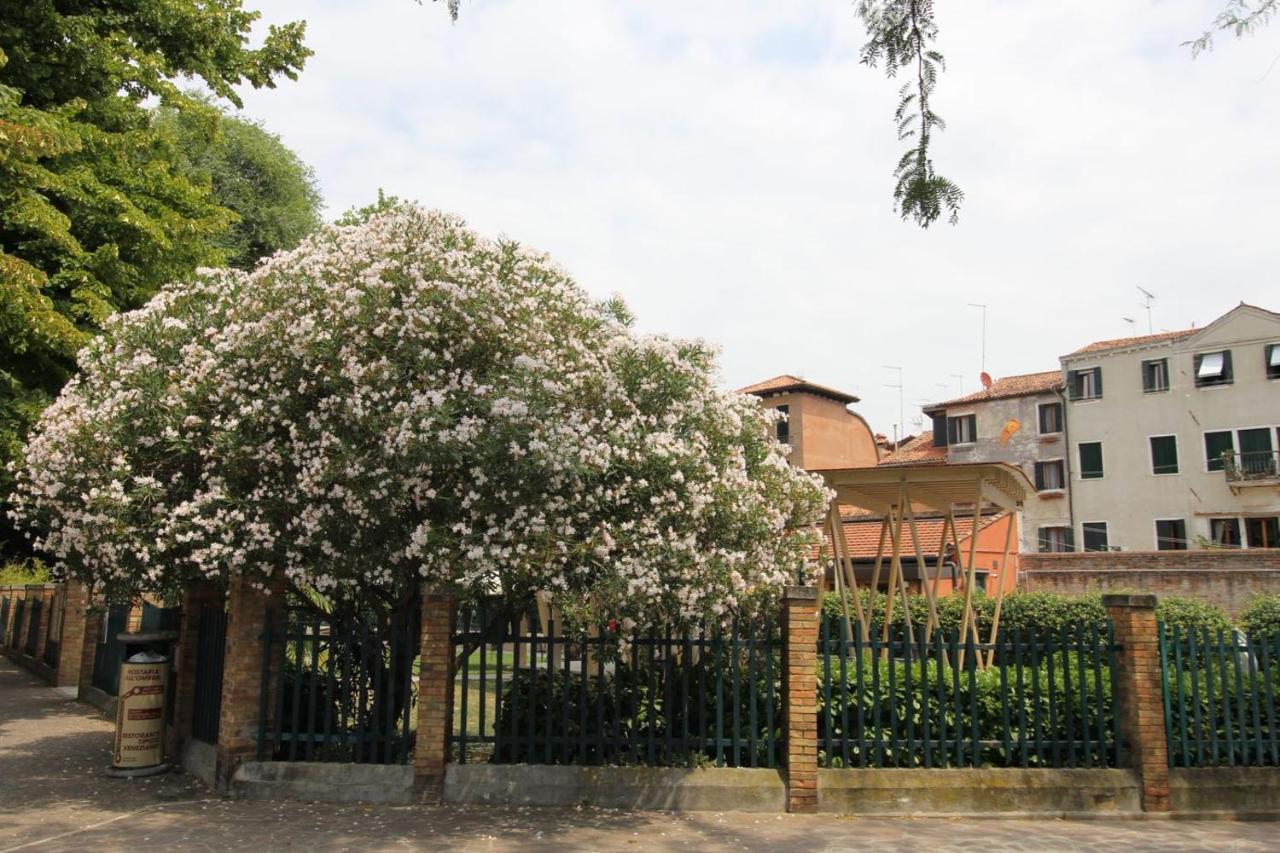 Veneziacentopercento Nicoli