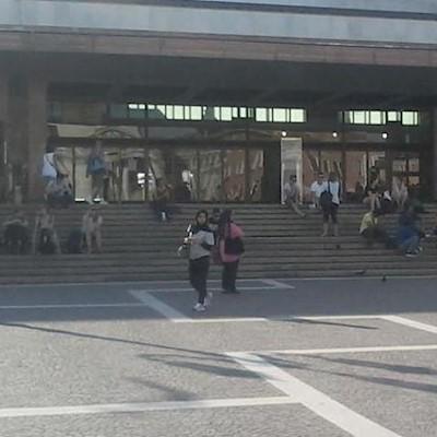 Hotel Minerva & Nettuno