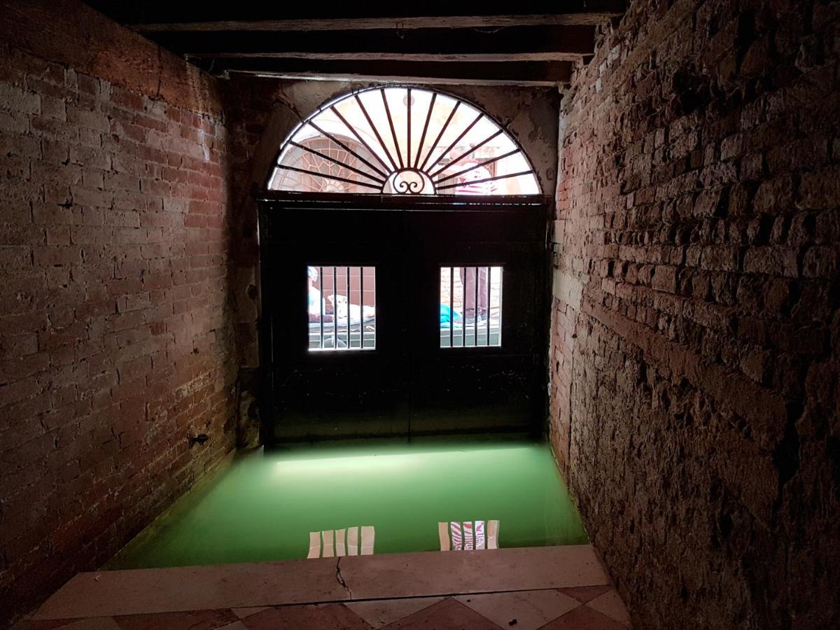 Wellvenice Fenice *