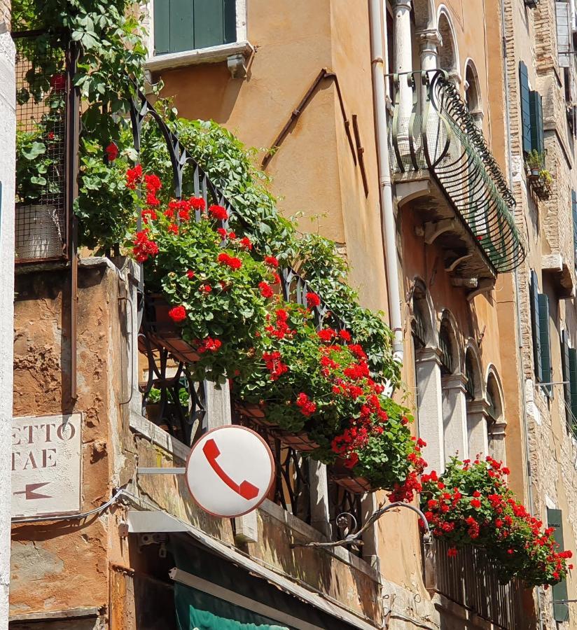 Beroni A Veneza