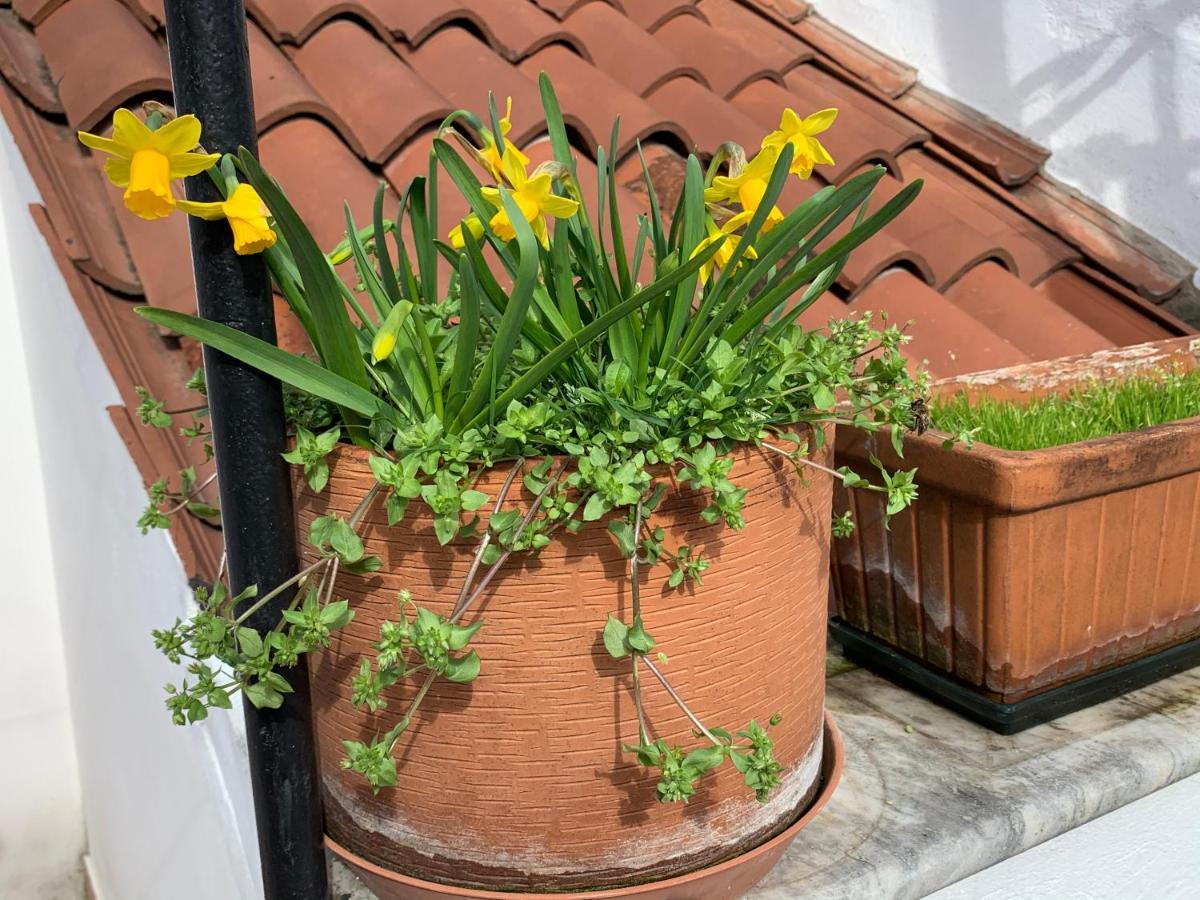 Apartamento Rooftop Terrace Domus Dei Fabbri