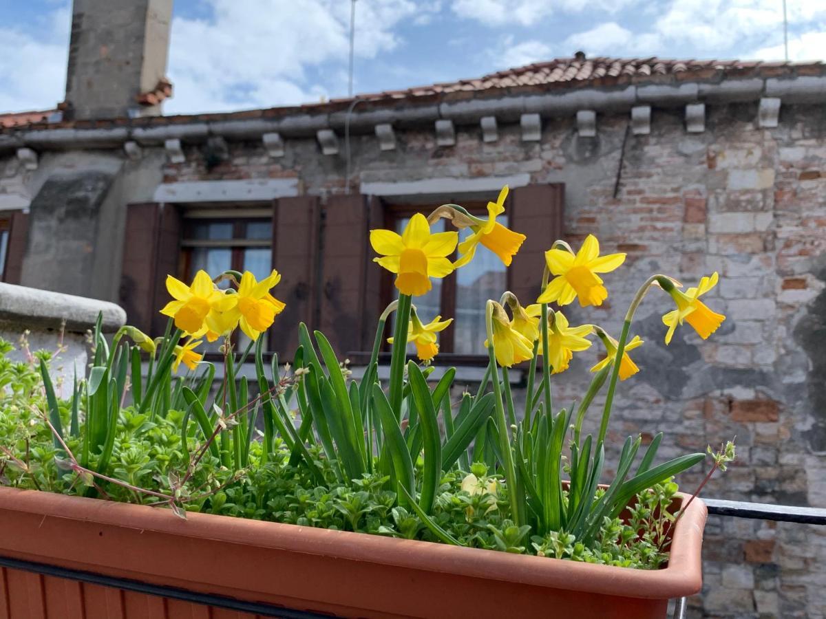 Rooftop Terrace Domus Dei Fabbri Apartamento
