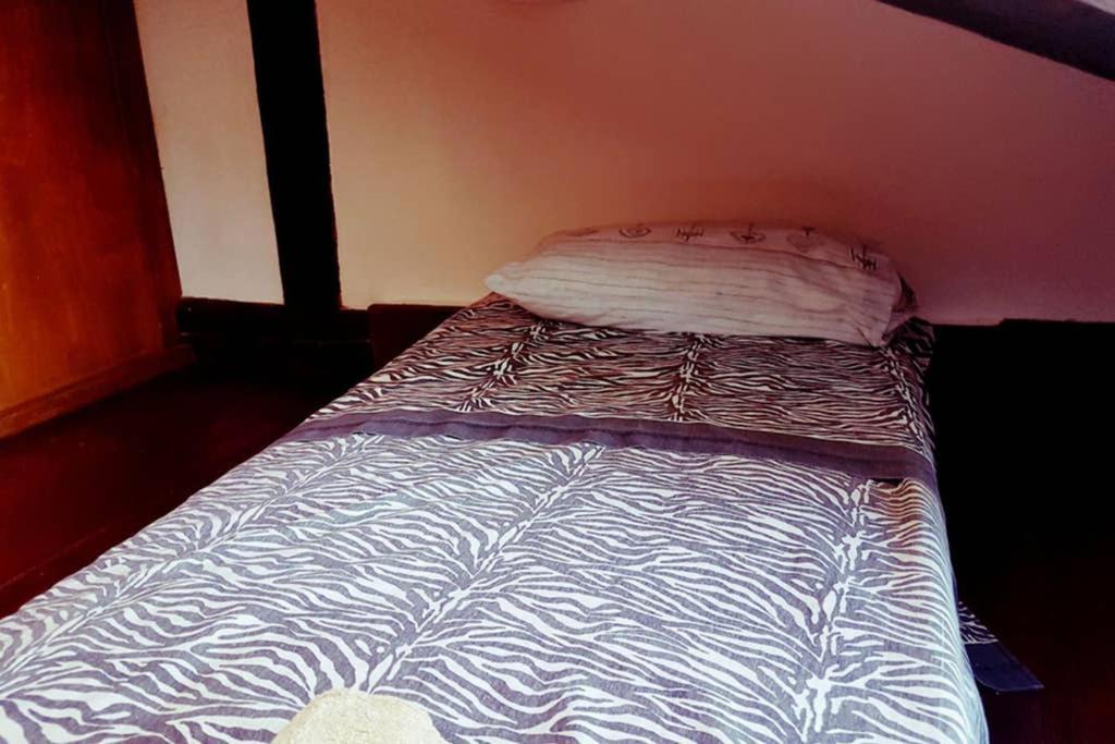 Large 3 Flat Rialto Venice