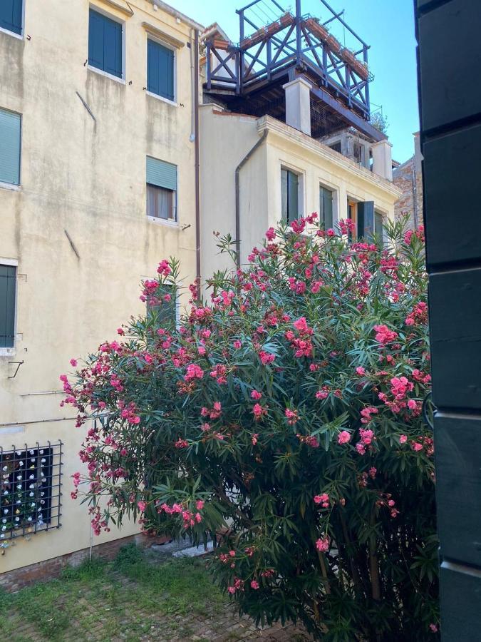 The Glamour Of San Marco Apartment *