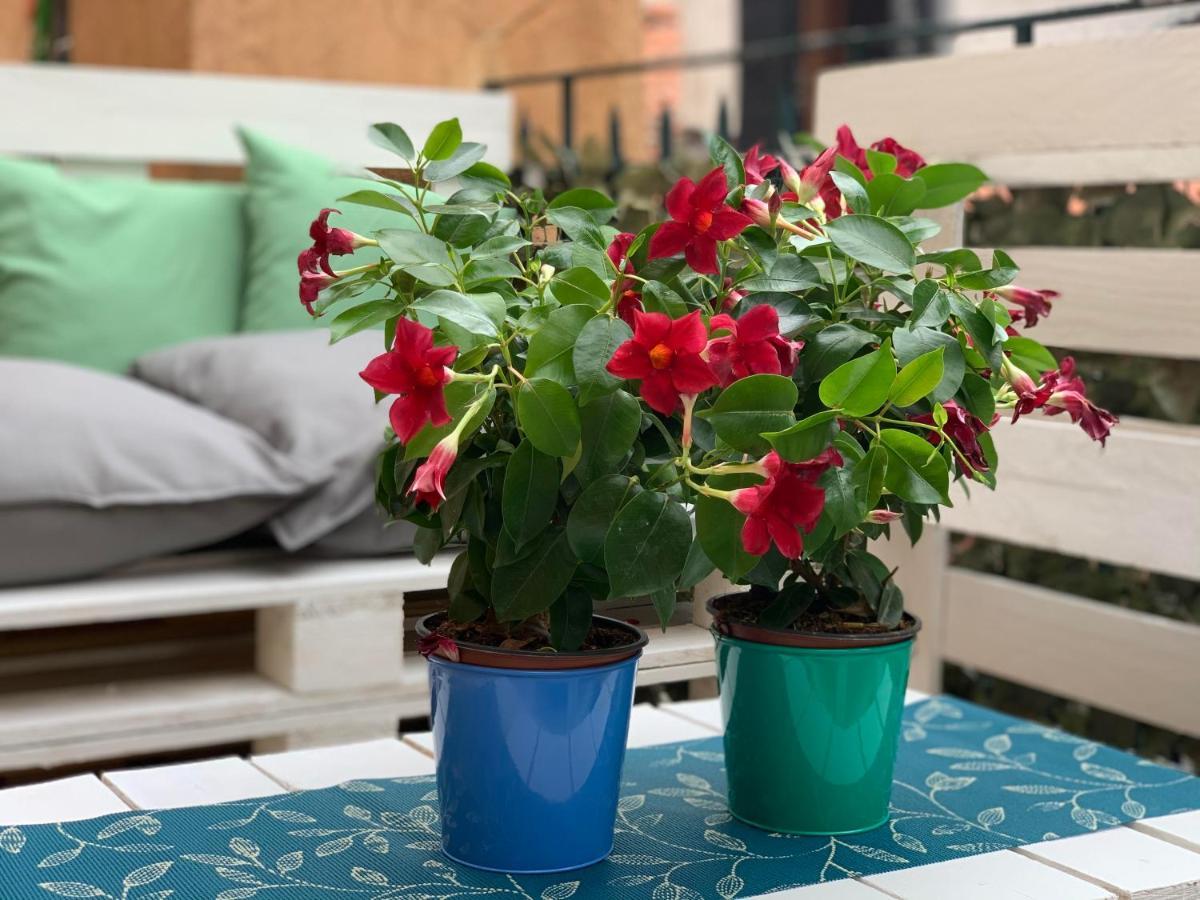Damiana Apartment Venice
